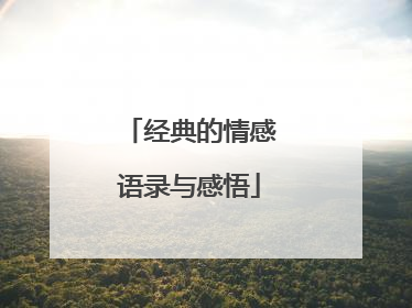 经典的情感语录与感悟