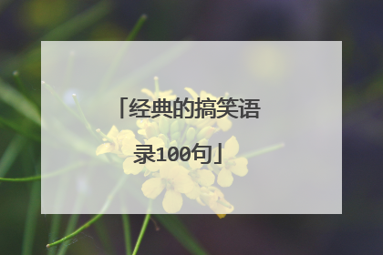 经典的搞笑语录100句