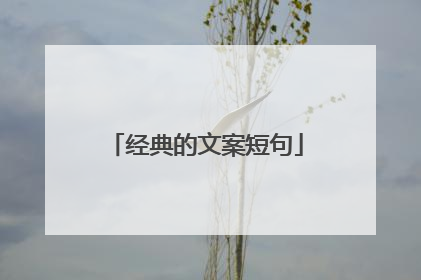 经典的文案短句