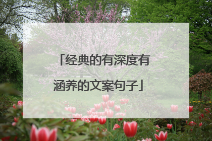 经典的有深度有涵养的文案句子