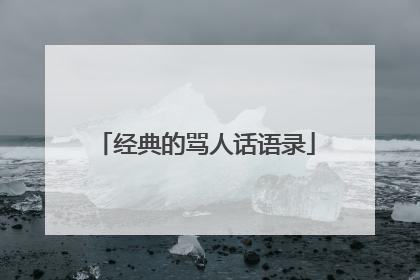 经典的骂人话语录