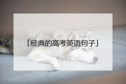 经典的高考英语句子