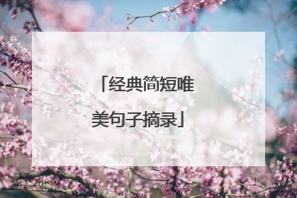 经典简短唯美句子摘录