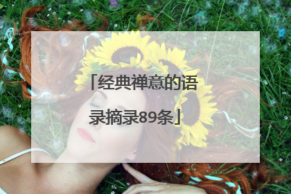 经典禅意的语录摘录89条