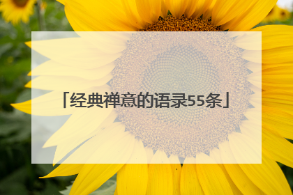 经典禅意的语录55条