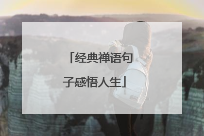 经典禅语句子感悟人生