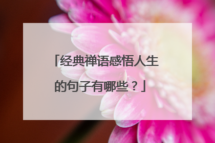 经典禅语感悟人生的句子有哪些？