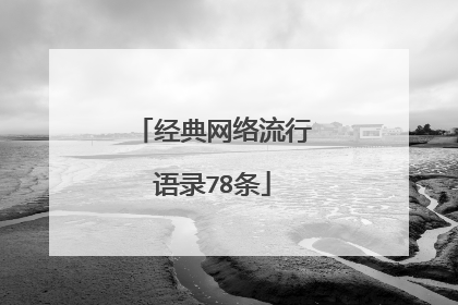 经典网络流行语录78条