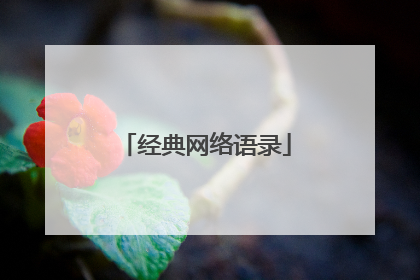 经典网络语录