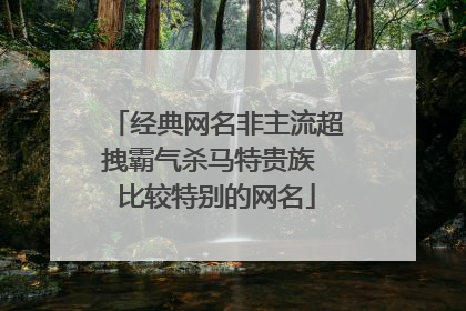 经典网名非主流超拽霸气杀马特贵族 比较特别的网名