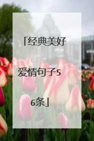 经典美好爱情句子56条