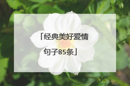 经典美好爱情句子85条