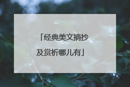 经典美文摘抄及赏析哪儿有