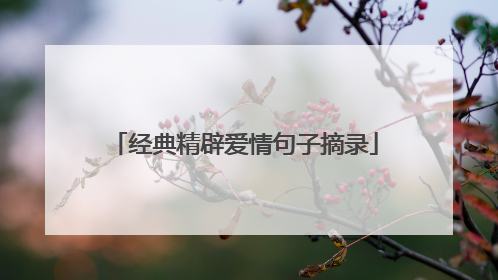 经典精辟爱情句子摘录