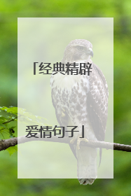 经典精辟爱情句子