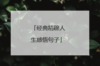 经典精辟人生感悟句子