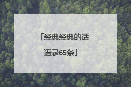 经典经典的话语录65条