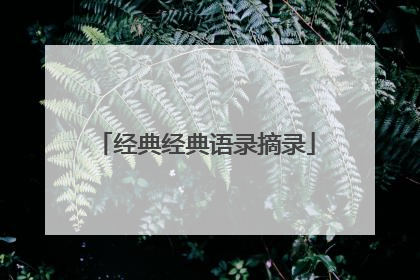 经典经典语录摘录
