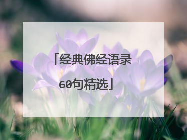 经典佛经语录60句精选