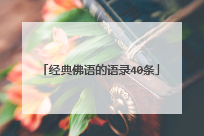 经典佛语的语录40条