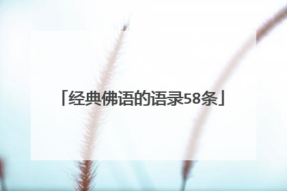 经典佛语的语录58条