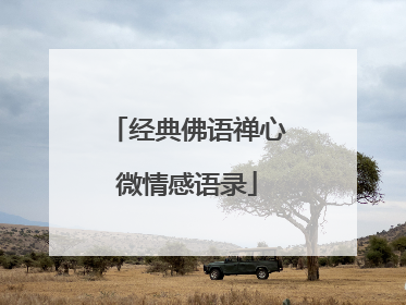 经典佛语禅心微情感语录