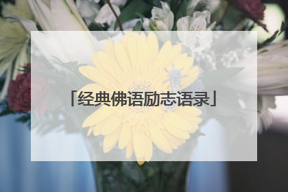 经典佛语励志语录