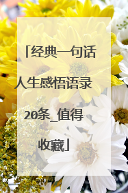 经典一句话人生感悟语录20条_值得收藏