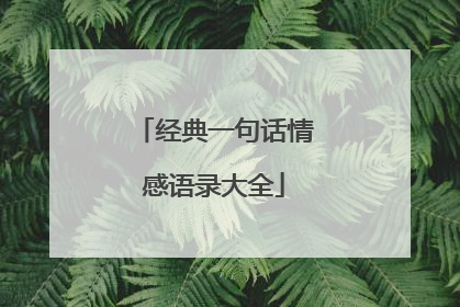 经典一句话情感语录大全
