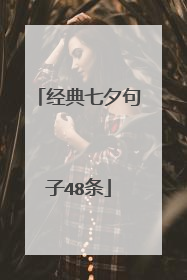 经典七夕句子48条