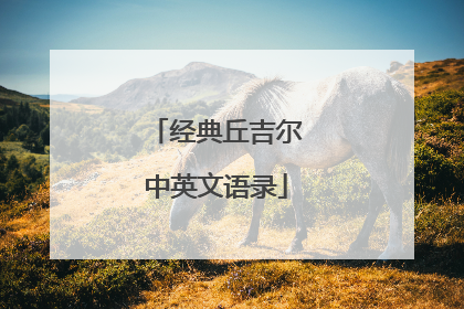 经典丘吉尔中英文语录