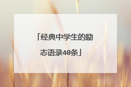 经典中学生的励志语录40条