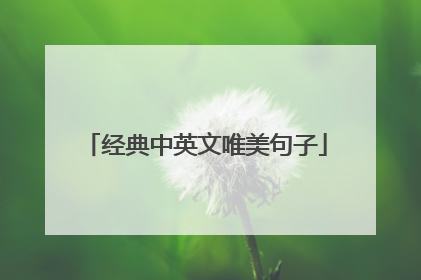 经典中英文唯美句子