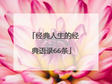 经典人生的经典语录66条