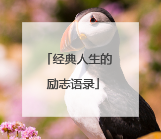 经典人生的励志语录