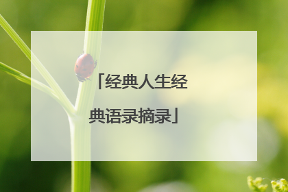 经典人生经典语录摘录