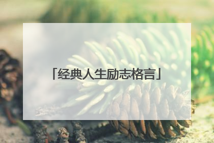 经典人生励志格言