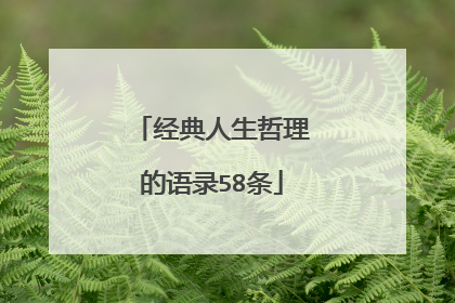 经典人生哲理的语录58条