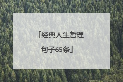 经典人生哲理句子65条