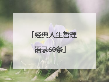 经典人生哲理语录60条