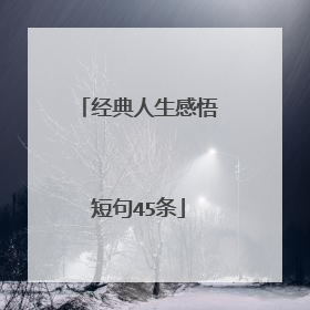 经典人生感悟短句45条