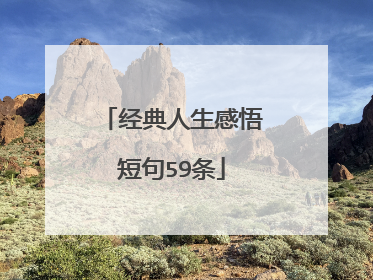 经典人生感悟短句59条