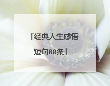 经典人生感悟短句80条