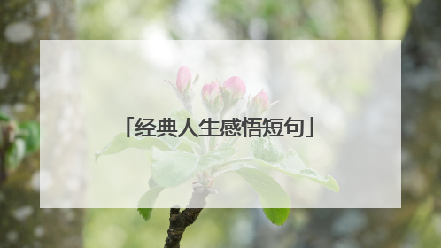 经典人生感悟短句