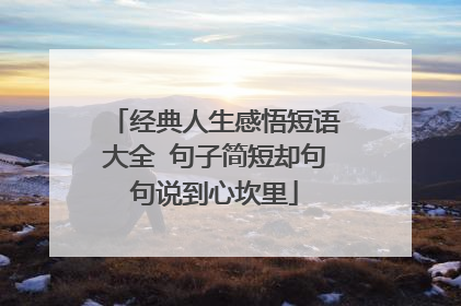 经典人生感悟短语大全 句子简短却句句说到心坎里