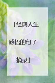 经典人生感悟的句子摘录