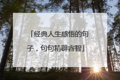 经典人生感悟的句子,句句精辟睿智