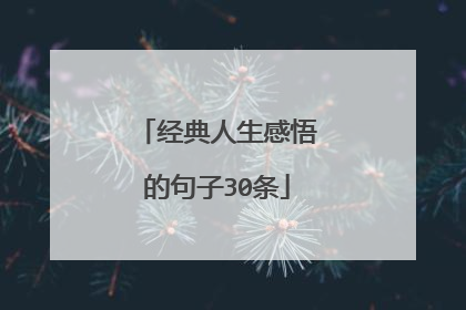 经典人生感悟的句子30条
