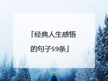 经典人生感悟的句子59条
