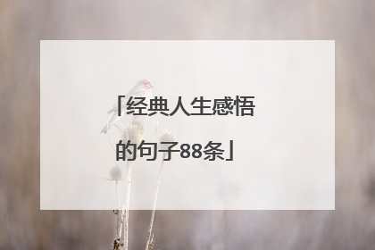 经典人生感悟的句子88条